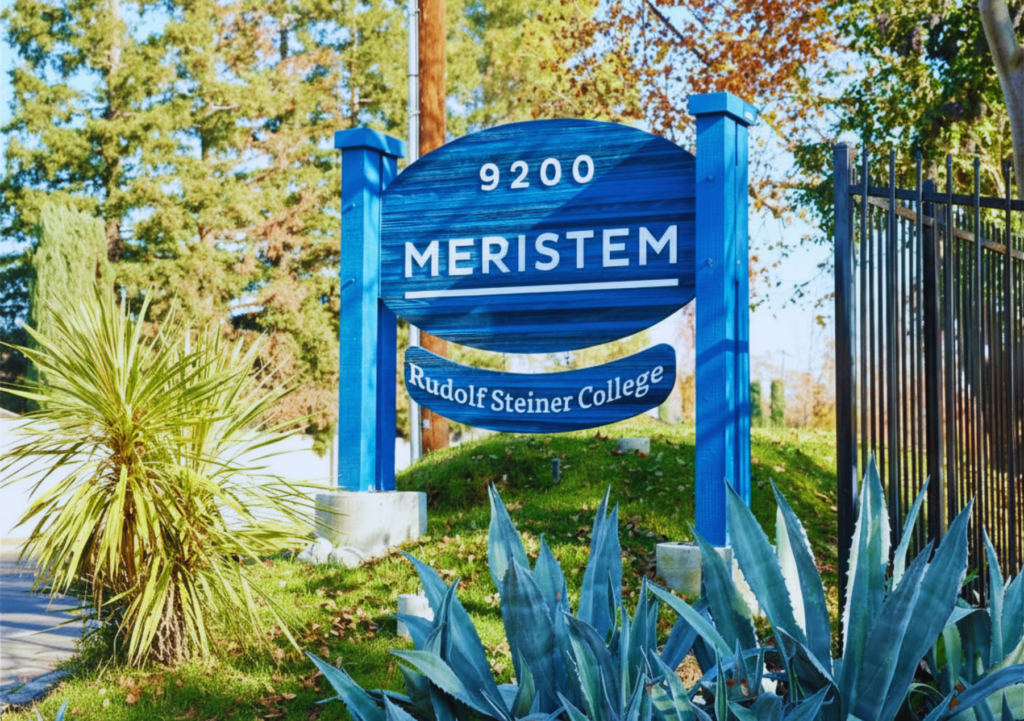 Meristem Post